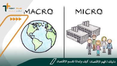 دليلك لـ فهم الاقتصاد: كيف ولماذا نقسم الاقتصاد