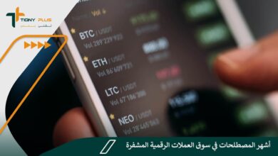 أشهر المصطلحات في سوق العملات الرقمية المشفرة