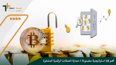 أهم 18 استراتيجية مضمونة لـ حماية العملات الرقمية المشفرة