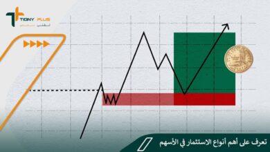 تعرف على أهم أنواع الاستثمار في الأسهم