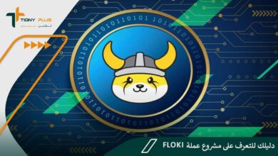 دليلك للتعرف على مشروع عملة Floki