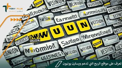 تعرف على مواقع الربح التي تدعم ويسترن يونيون Western Union