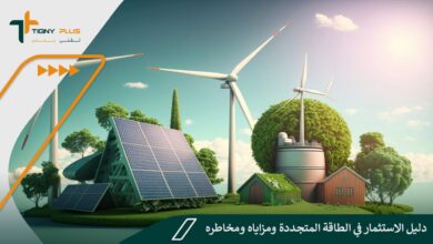 دليل الاستثمار في الطاقة المتجددة ومزاياه ومخاطره
