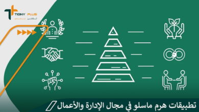 تطبيقات هرم ماسلو في مجال الإدارة والأعمال 29 تطبيقات هرم ماسلو في مجال الإدارة والأعمال