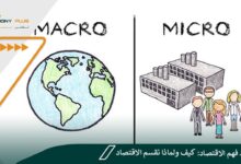 دليلك لـ فهم الاقتصاد: كيف ولماذا نقسم الاقتصاد